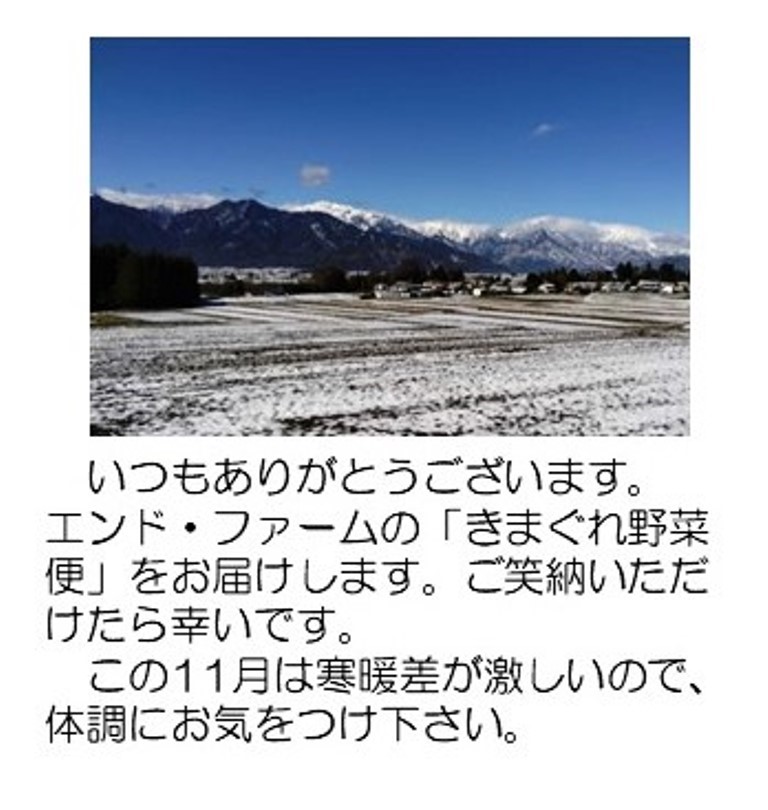 紫式部
